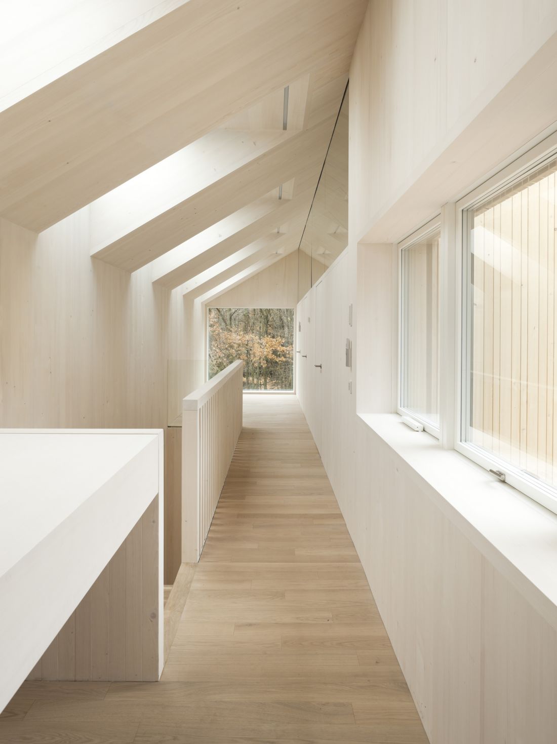 VELUX Daylight Visualizer