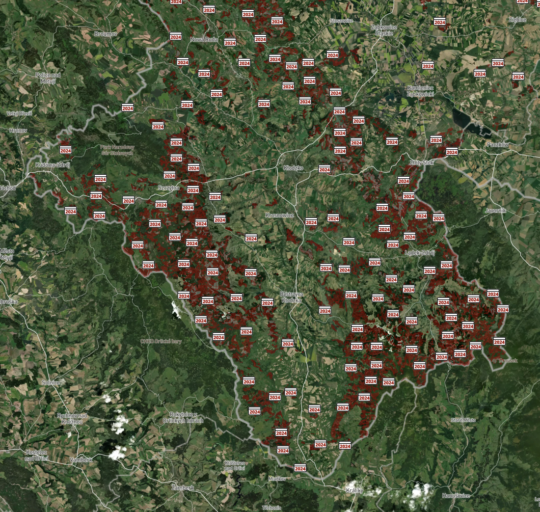 Mapa wycinki lasów