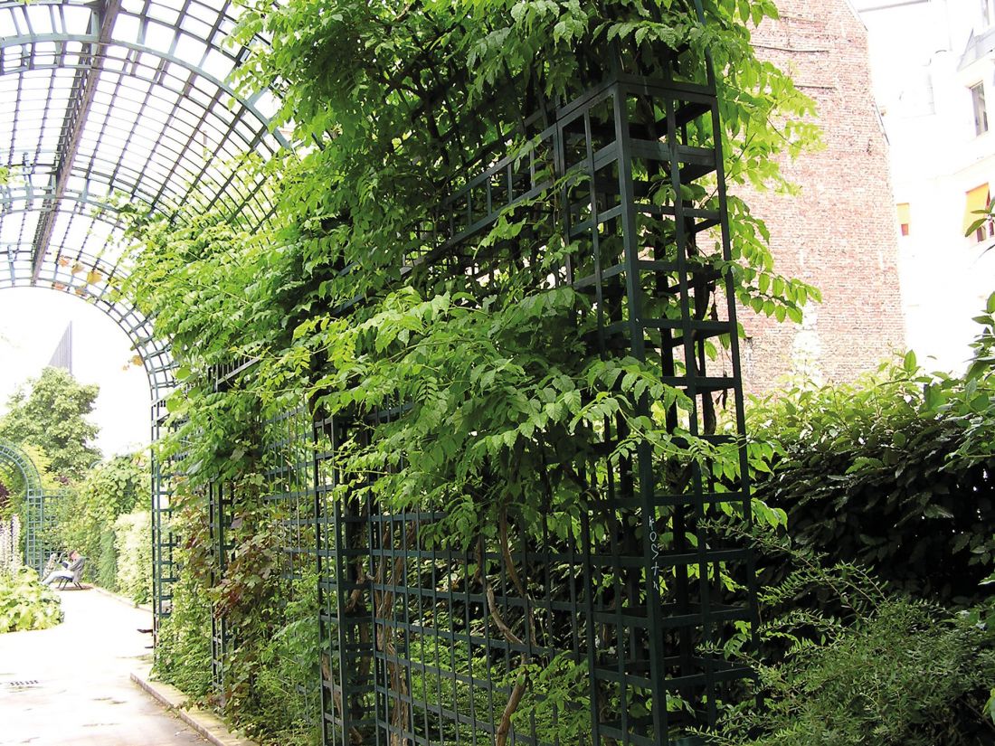 podpory dla pnączy w paryskim parku Promenade plantée René-Dumont, utworzonym na wąskim nasypie kolejowym, na którym nie było możliwości sadzenia drzew