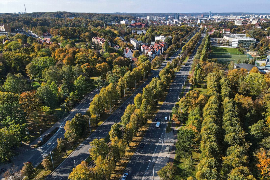 korzenie Wielkiej Alei Lipowej, która dziś czeka na rewaloryzację, sięgają lat 1768-1770