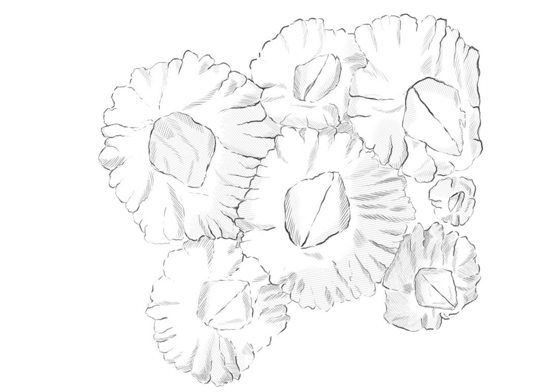 rysunek