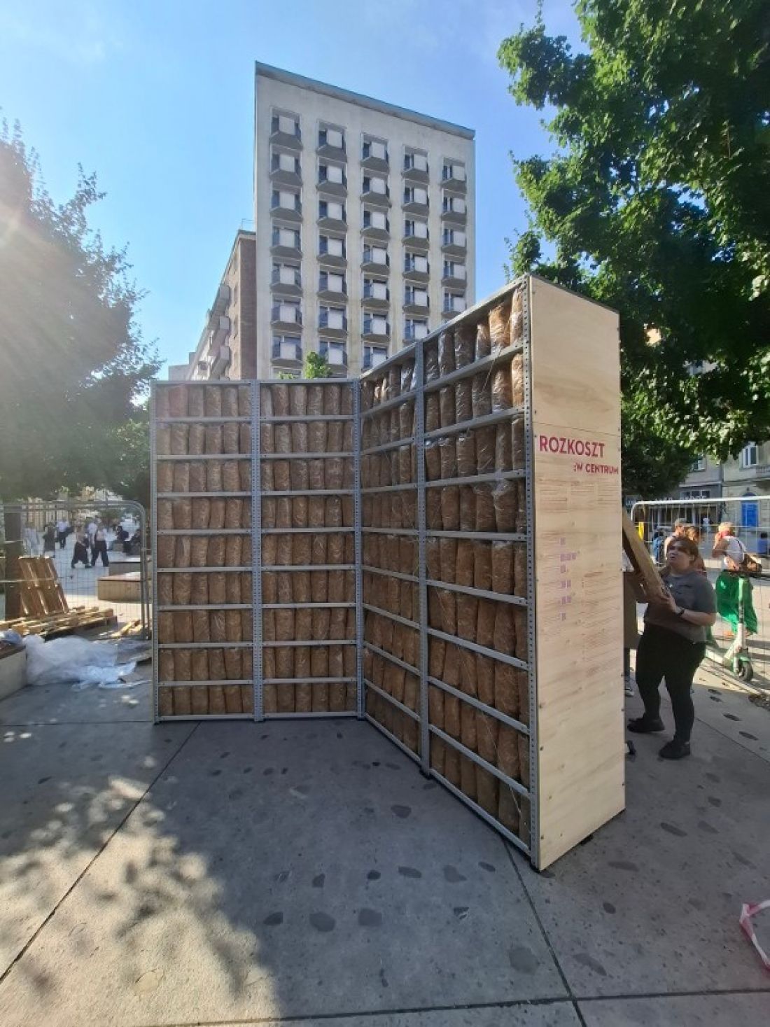 Instalacja Rozkoszt