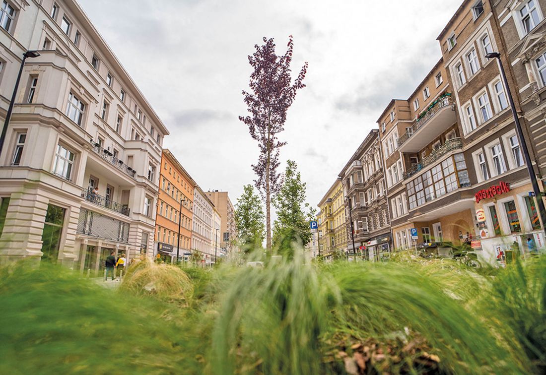 nowe oblicze odcinka między placem Zwycięstwa a placem Zgody