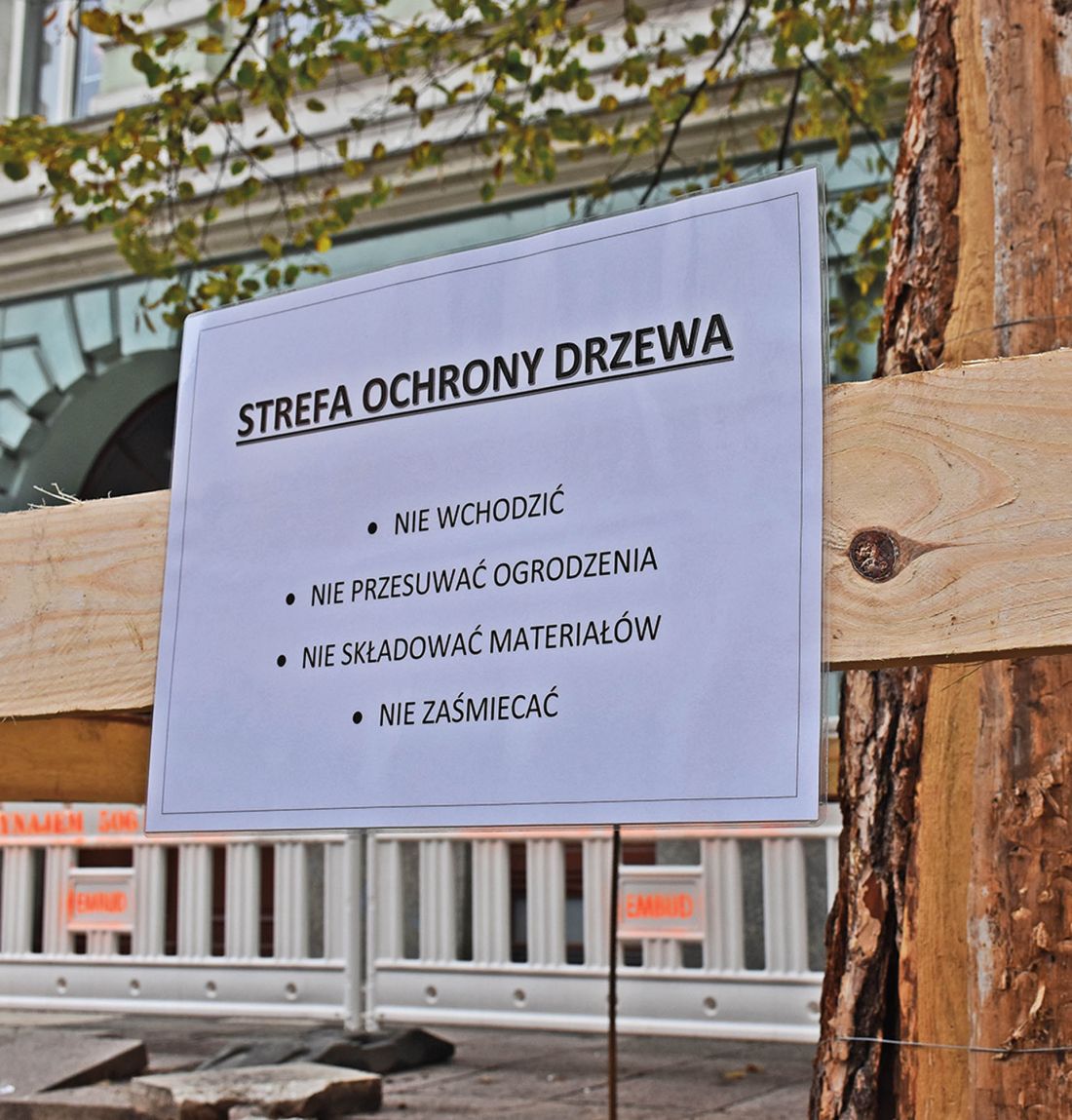 ochrona starej, istniejącej zieleni była jednym z priorytetów władz miasta