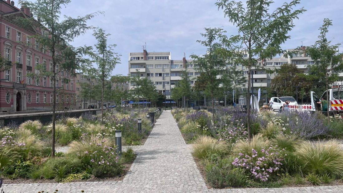 Zazieleniony Plac Nowy Targ w 2024 roku