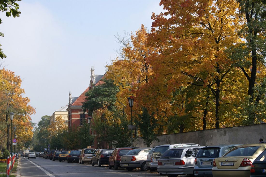 Ulica Kopernika