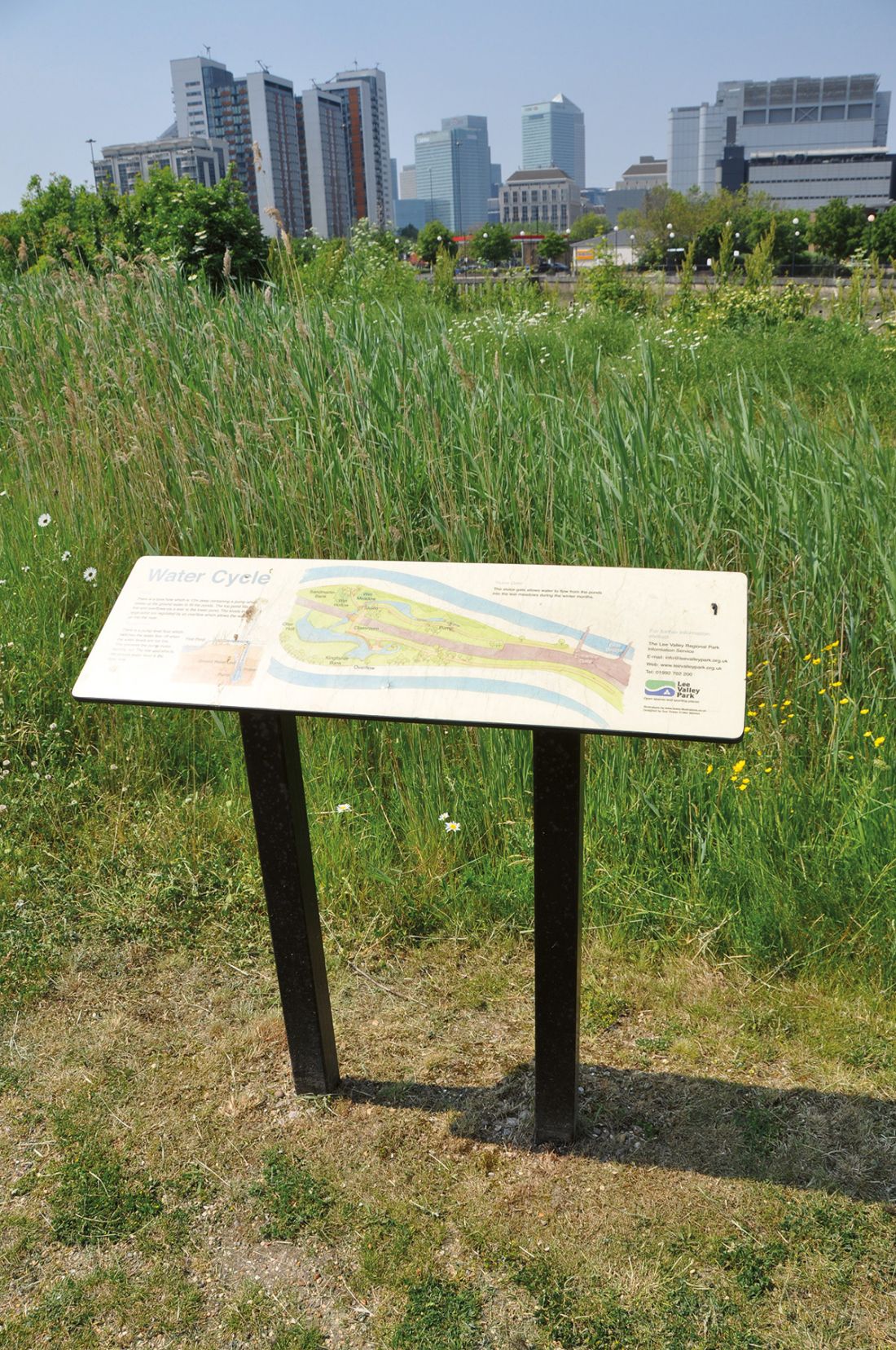 Bow Creek Park Ekologiczny w Londynie