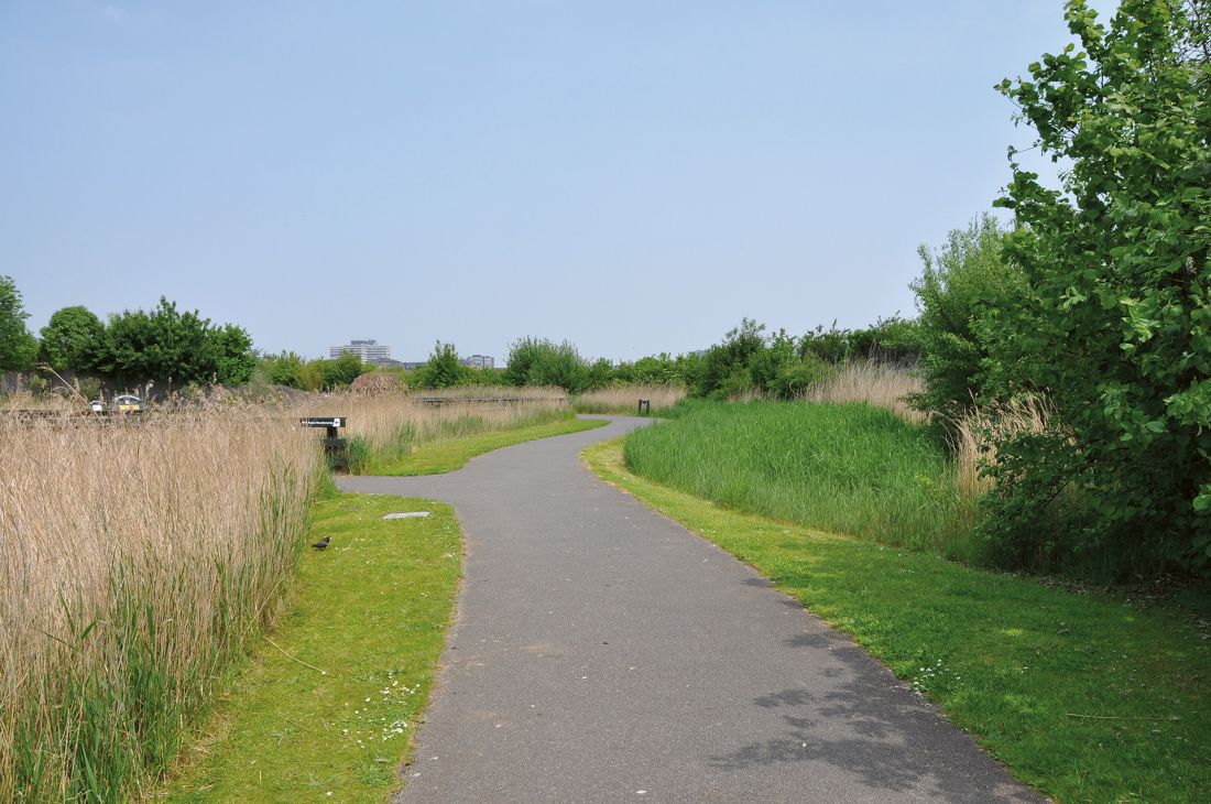 London Wetland Centre - rezerwat przyrody