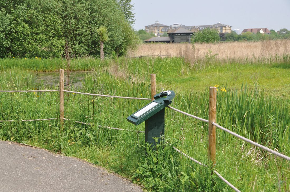 London Wetland Centre - rezerwat przyrody