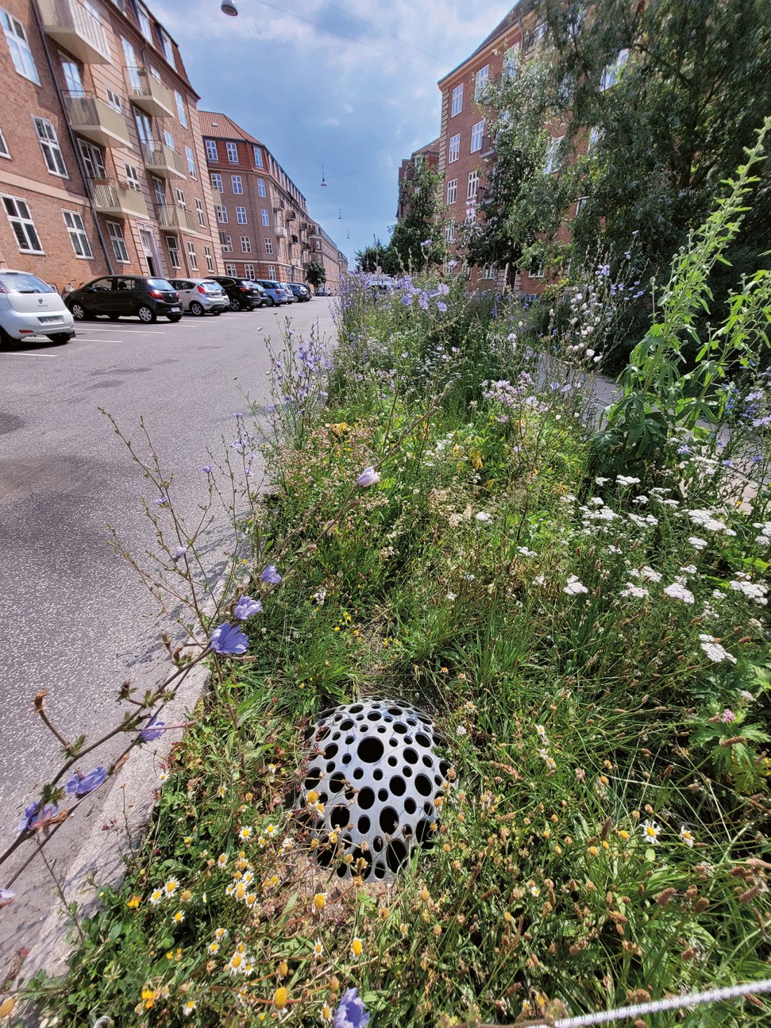 plac Tåsinge, Kopenhaga