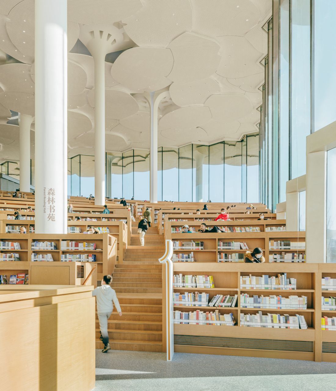 Biblioteka w Tongzhou, w Pekinie - inspiracją dla projektu stały się pobliskie wzgórza, drzewa i rzeka Tonghui