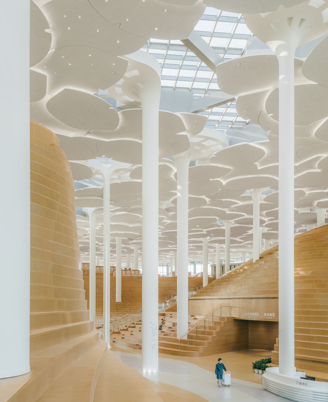Biblioteka w Tongzhou, w Pekinie - widok wnętrza o wysokości niemal 16 metrów