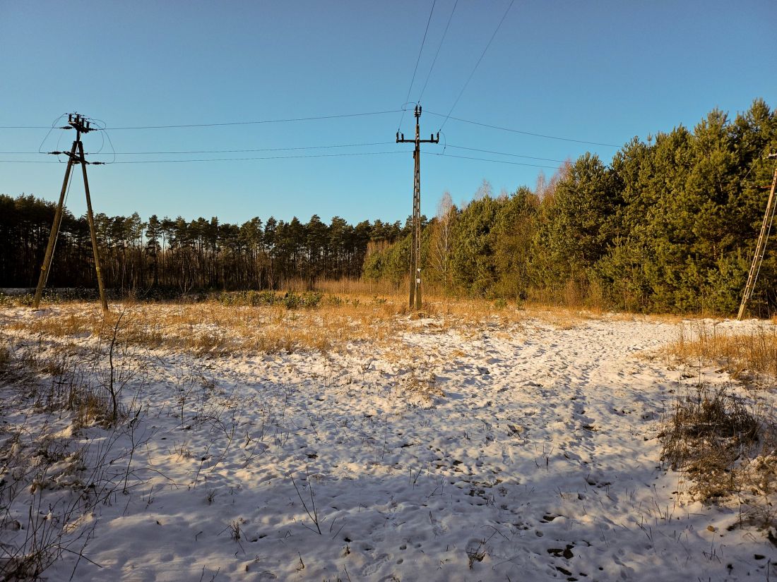 wizja lokalna