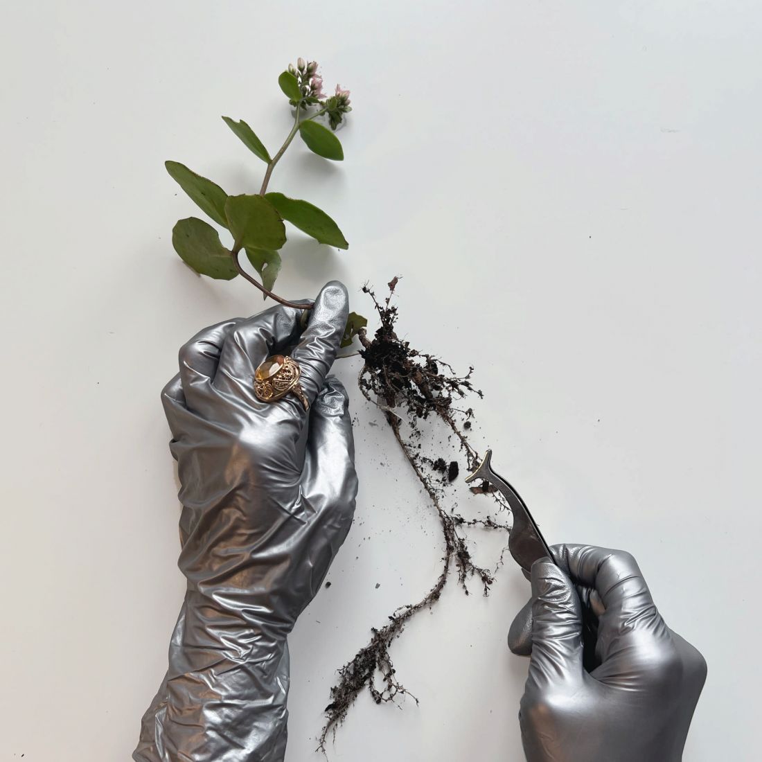 Foil&Soil