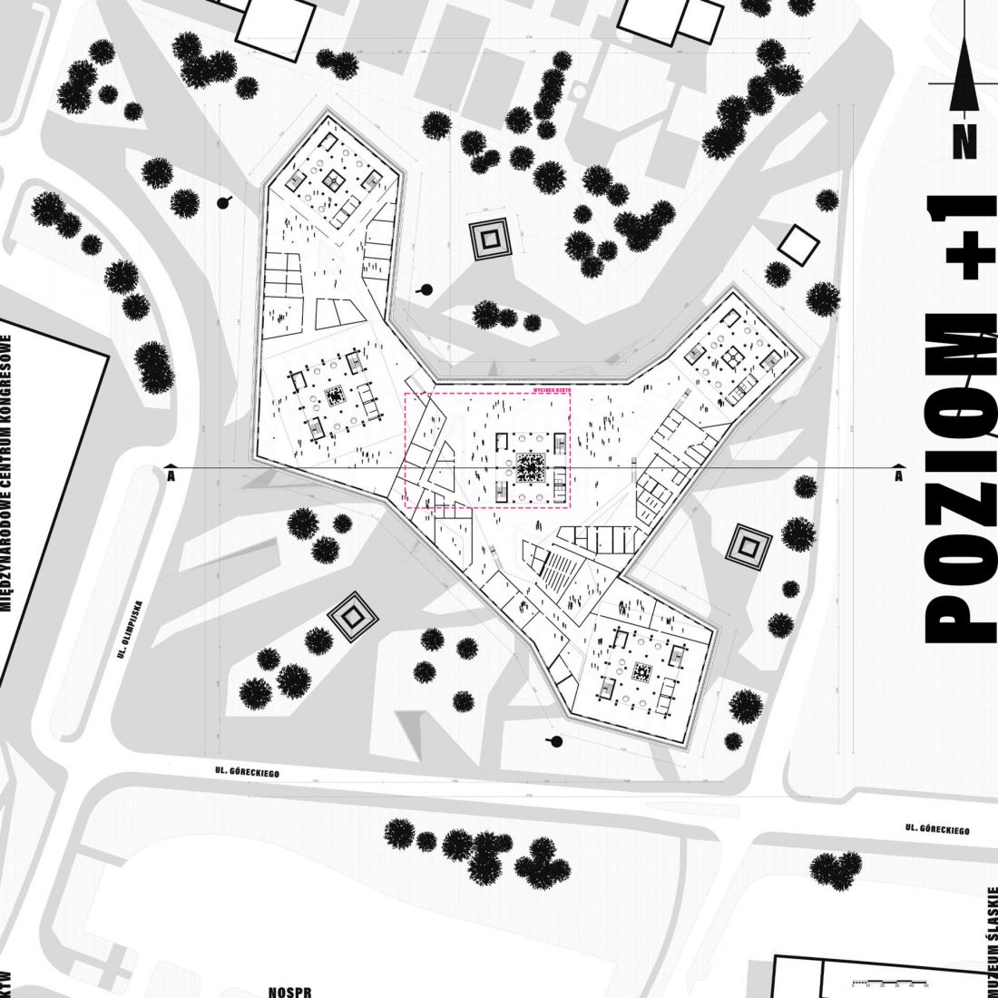 rzut 1. piętra