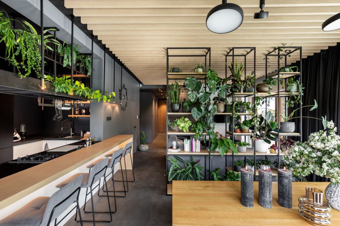 Biophilic design przybliża nas do natury