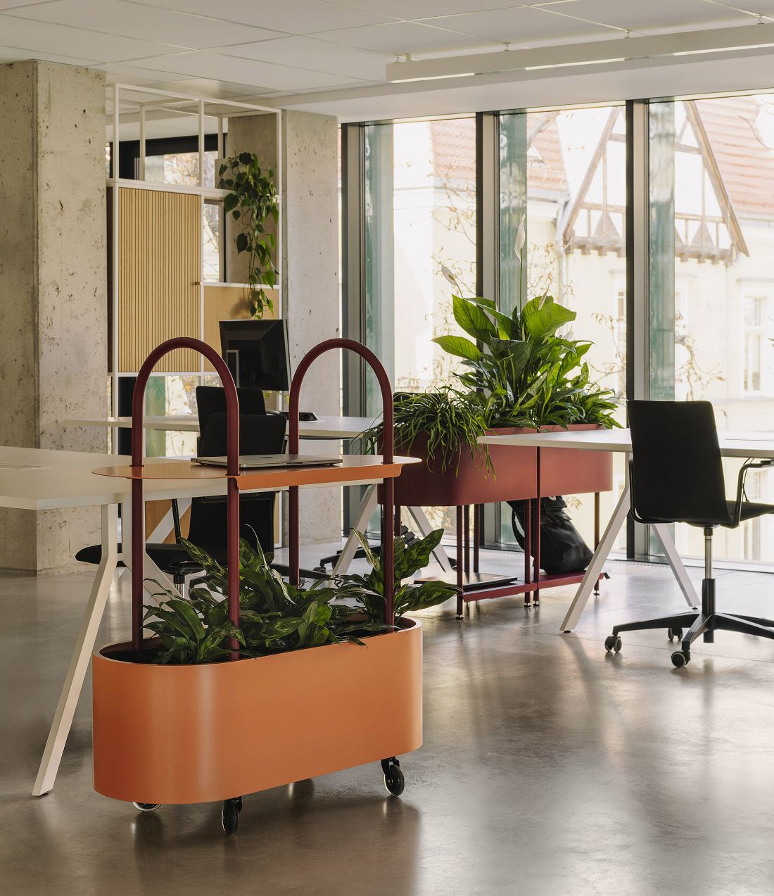 LOOPO green system, fot. Migdał Studio