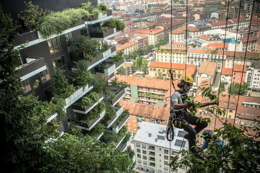 Bosco Verticale (z włoskiego „ pionowy=