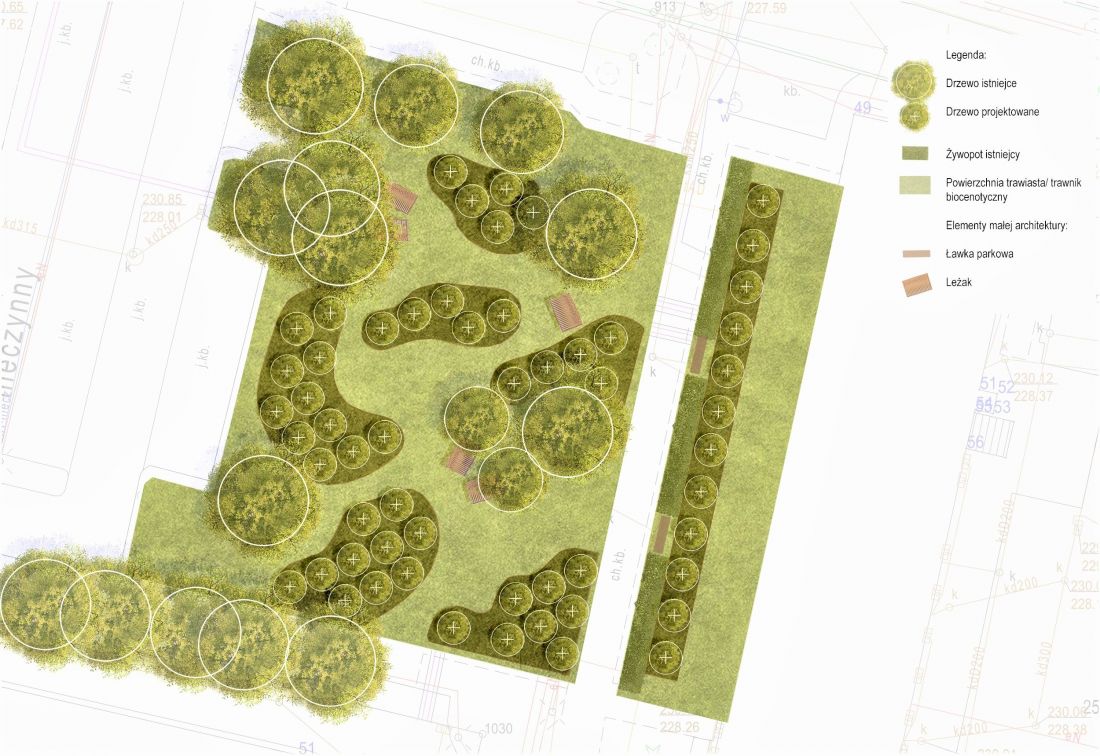 Projekt sadu miejskiego przy ulicy Jasnej 31 w Gliwicach