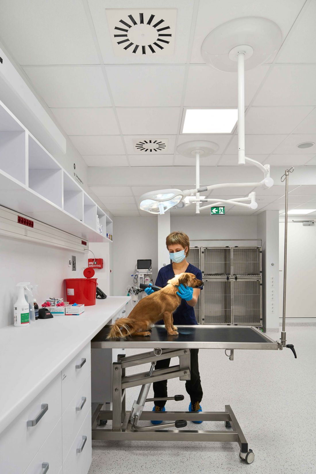 Ecophon w klinice Veterio