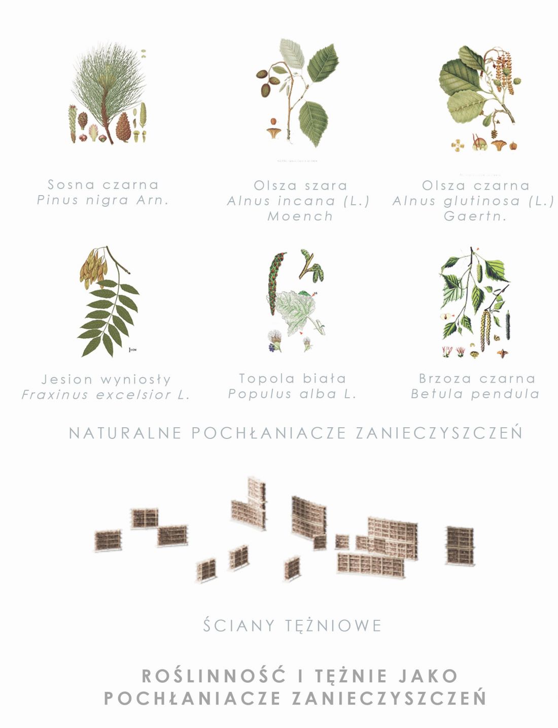 roślinność i tężnie jako pochłaniacze zanieczyszczeń