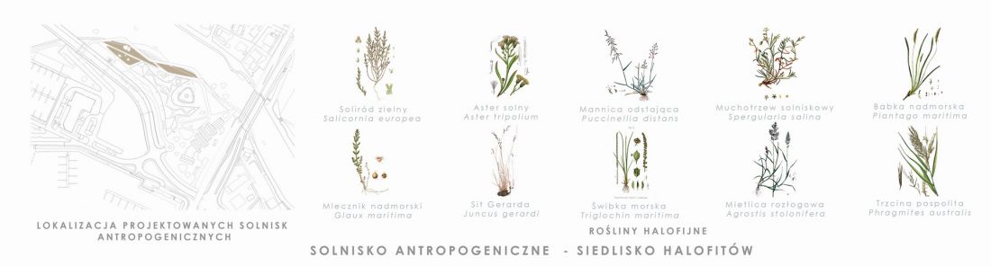 solnisko antropogeniczne