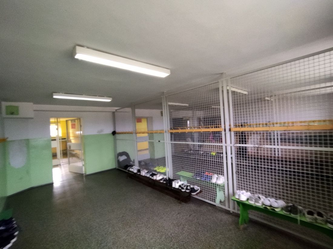 Termomodernizacja szkoły podstawowej w Domaniowie
