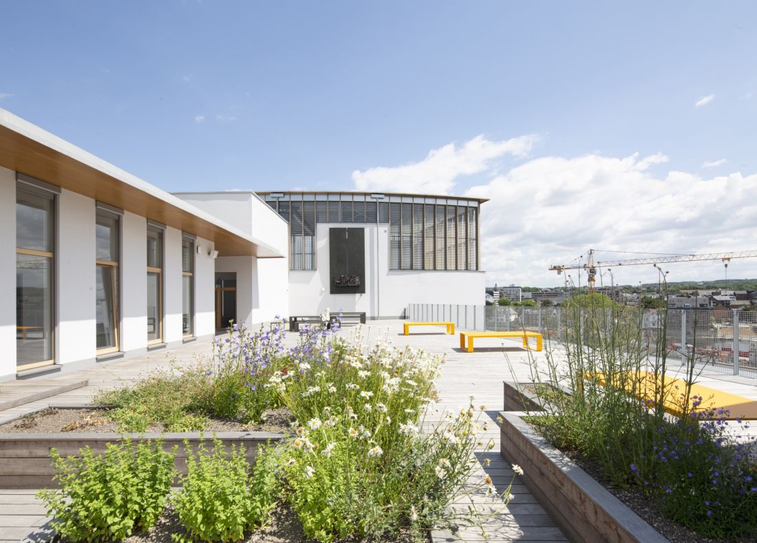Rozbudowa centrum kulturalnego w Namur - taras na dachu