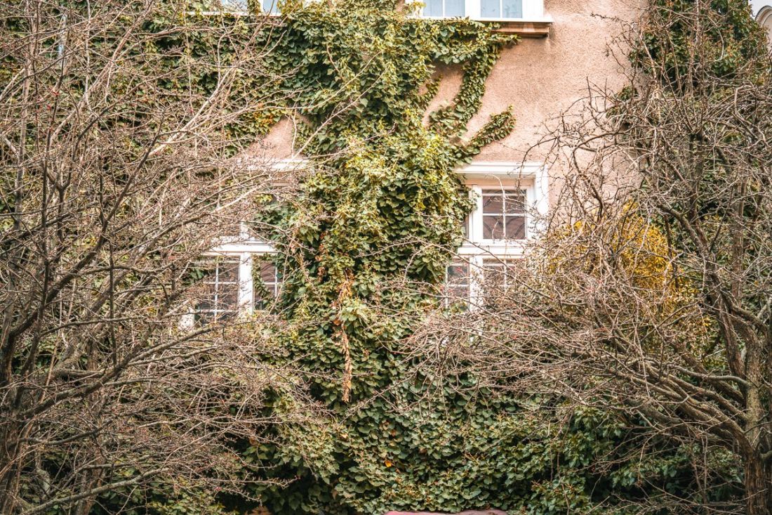 Kamienica stoi w sercu Gdańska