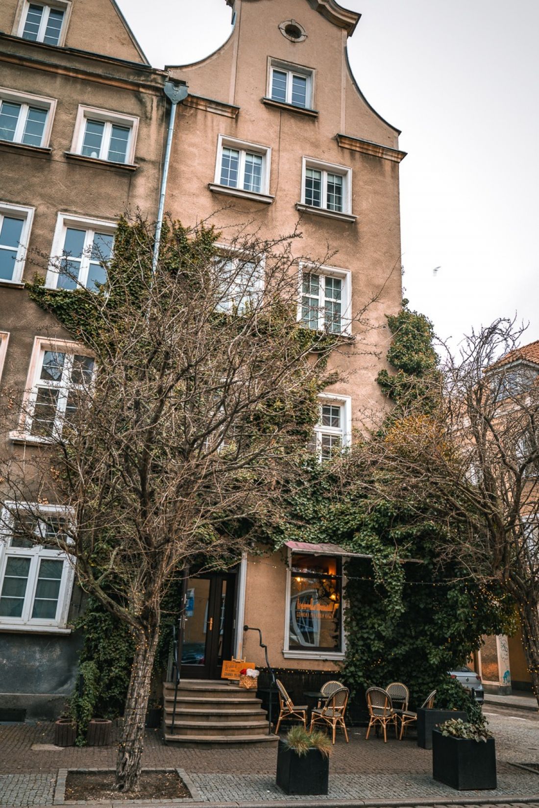 Budynek porośnięty jest bluszczem pospolitym (Hedera helix L) 