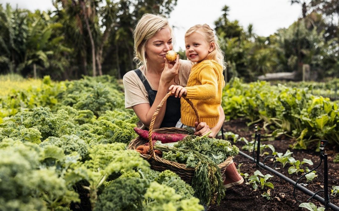 Wellbeing gardening opiera się na świadomym obcowaniu z naturą, pielęgnowaniu roślin i tworzeniu przestrzeni sprzyjających relaksowi oraz regeneracji