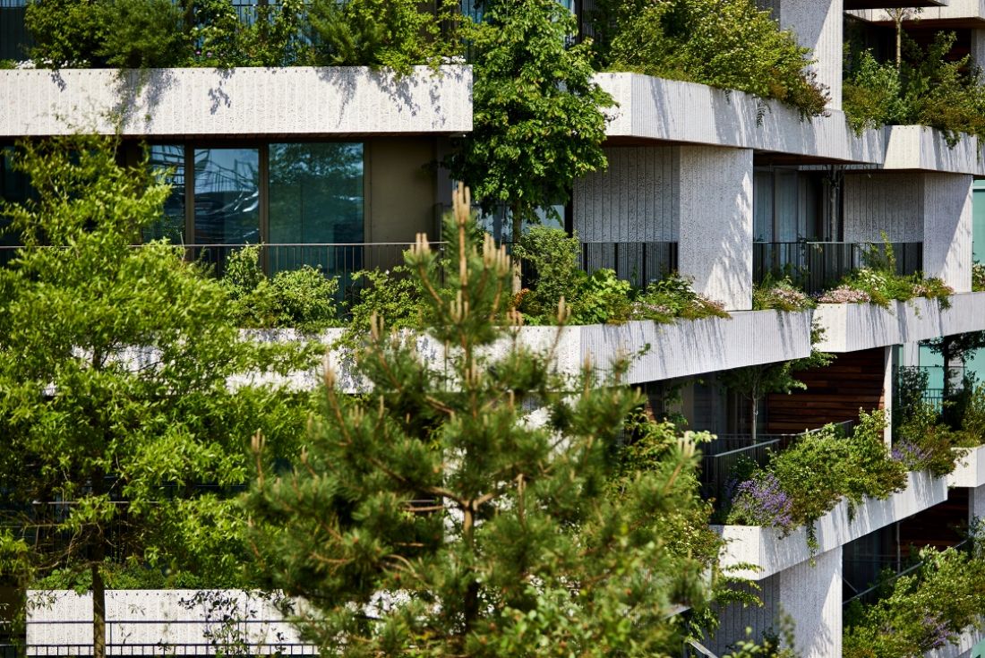 Na elewacjach Wonderwoods posadzono 360 drzew oraz 50 tysięcy roślin należących do 30 rodzimych gatunków