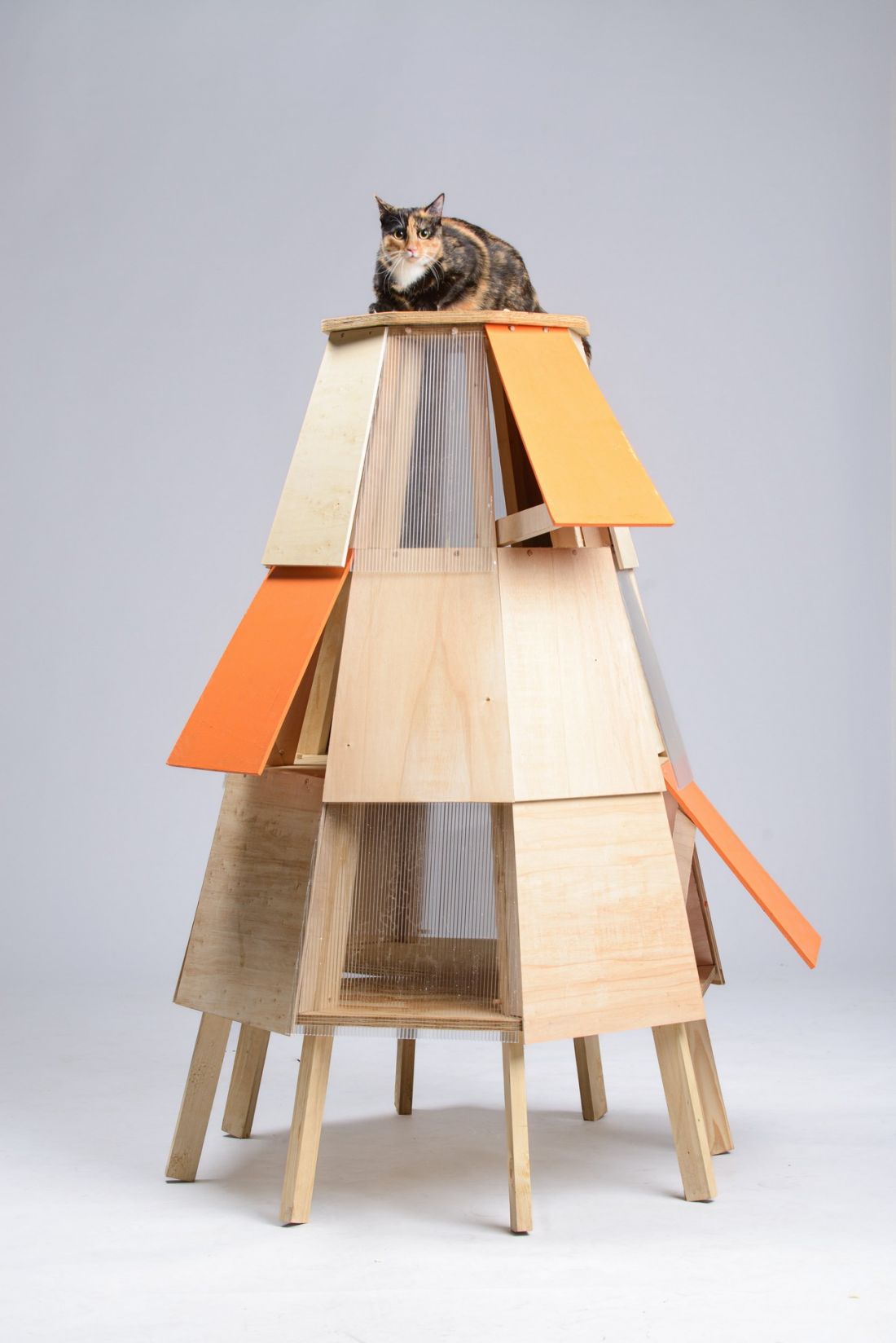 Catower