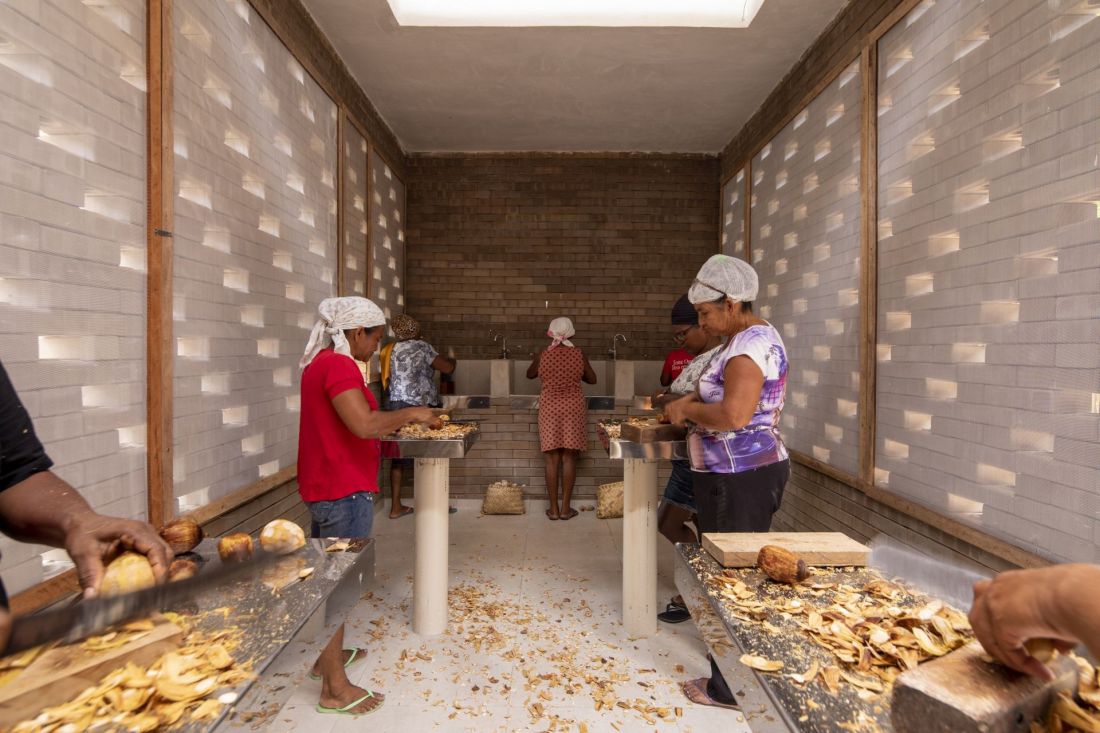 Coconut Harvester Center Estudio Flume