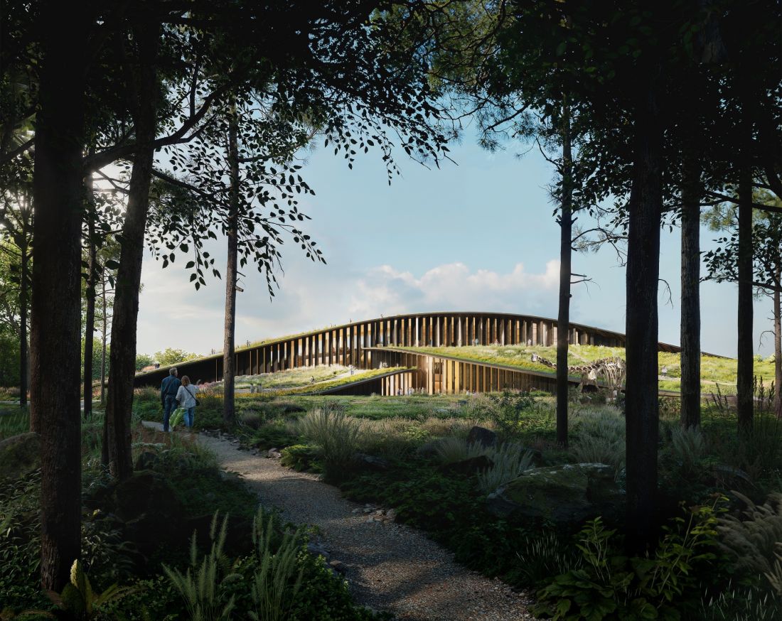 Nowe muzeum powstaje na terenie dawnego boiska sportowego, położonego na skraju Wielkiego Lasu