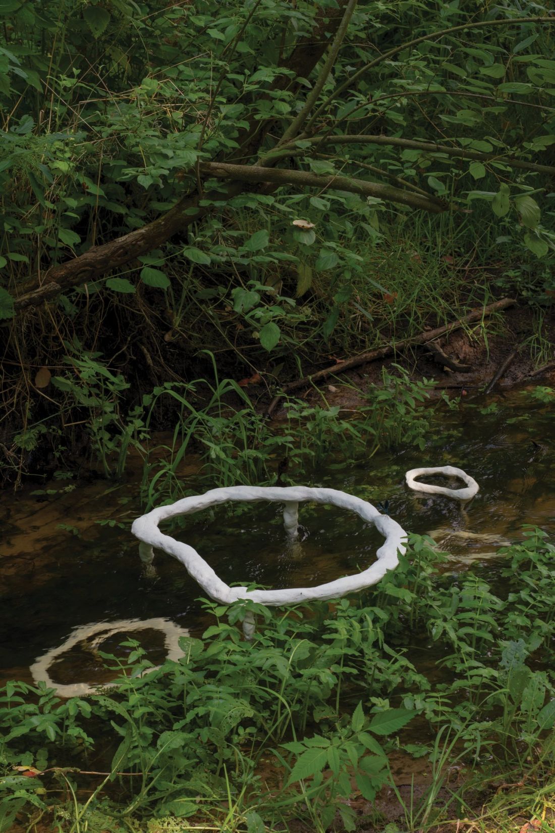 Indicating Water