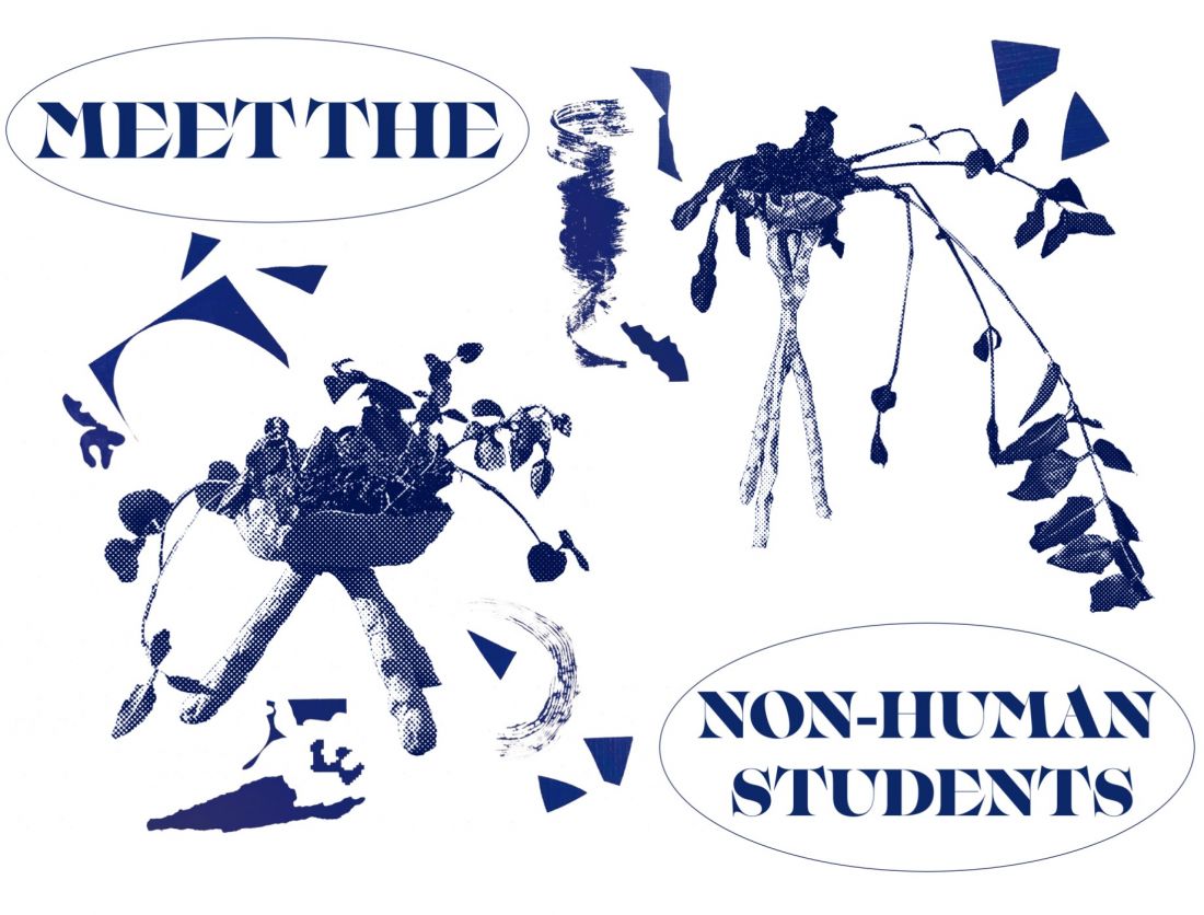projekt „Herbarium