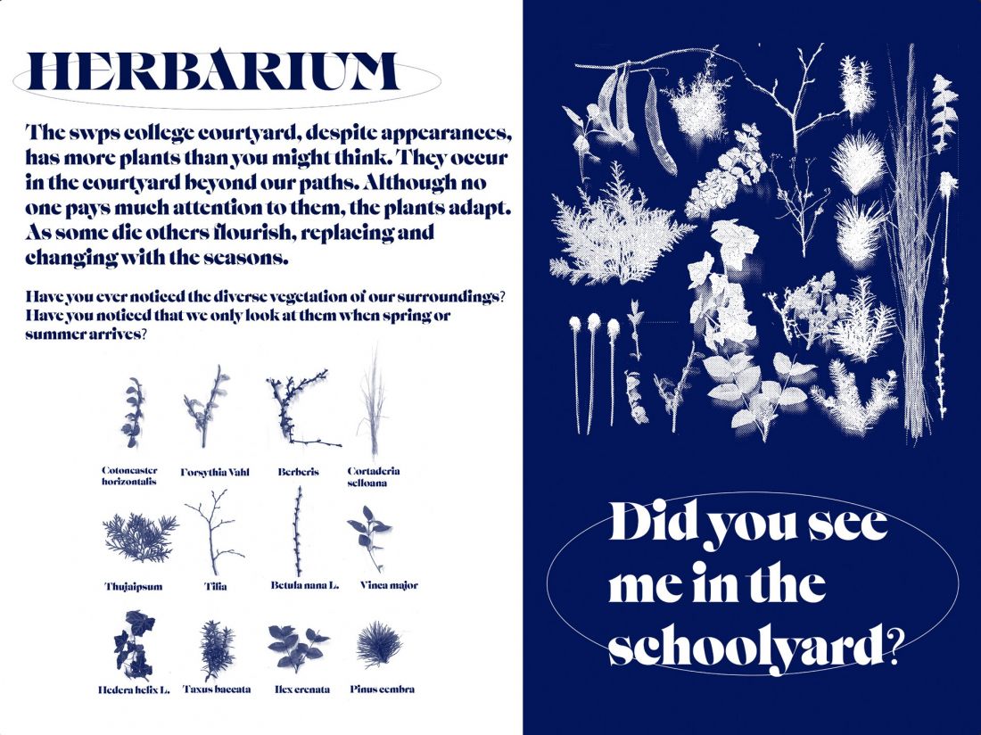 projekt „Herbarium