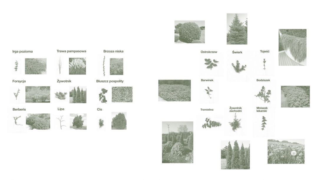 projekt „Herbarium