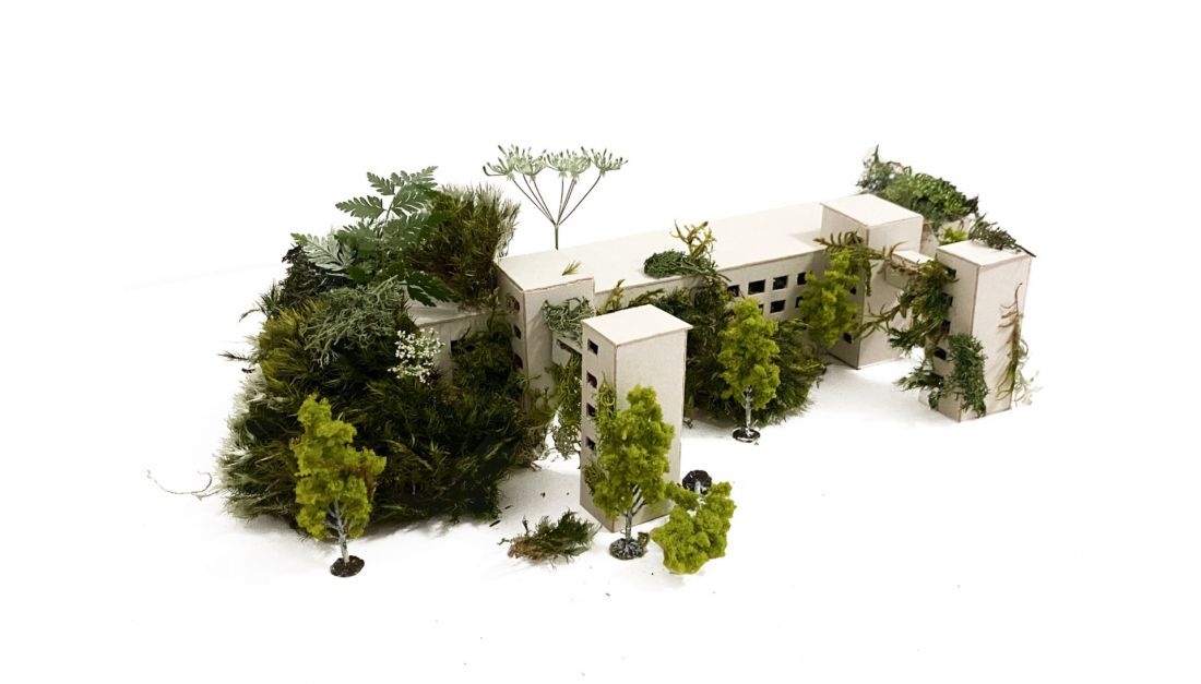  projekt „Herbarium