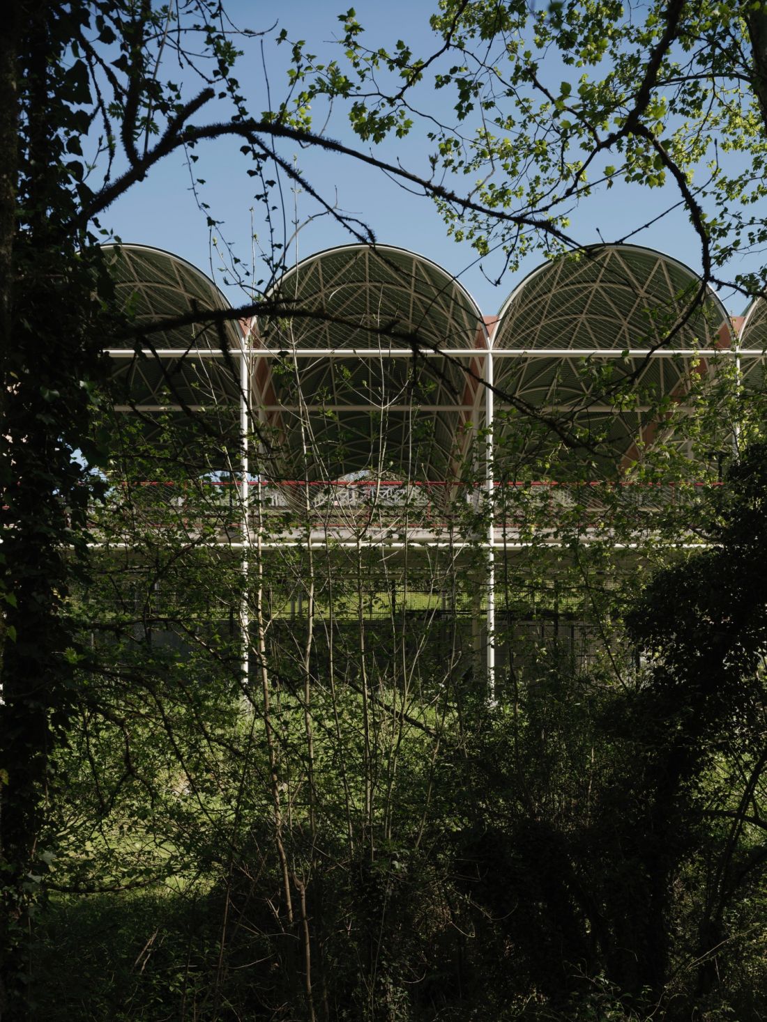 Zubitegi Park w Mallabii – projekt stawia na elastyczność, umożliwiając różnorodne zastosowania
