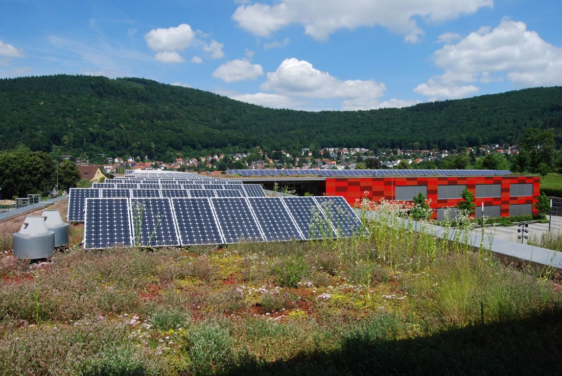 Dach Biosolarny o zwiększonej bioróżnorodności