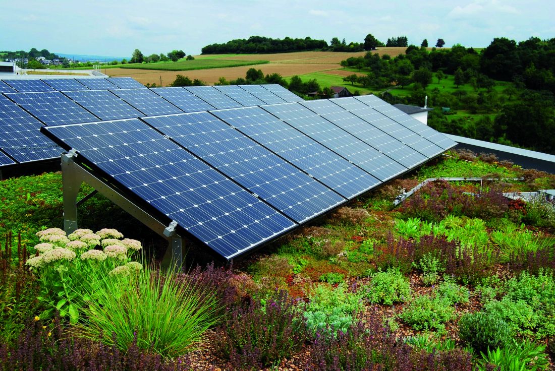 Dach biosolarny