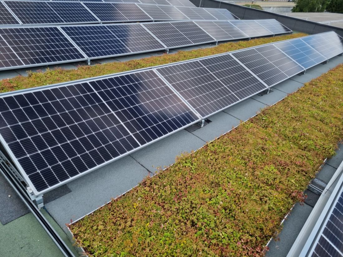 Zazielenienie dachu solarnego po instalacji paneli fotowoltaicznych