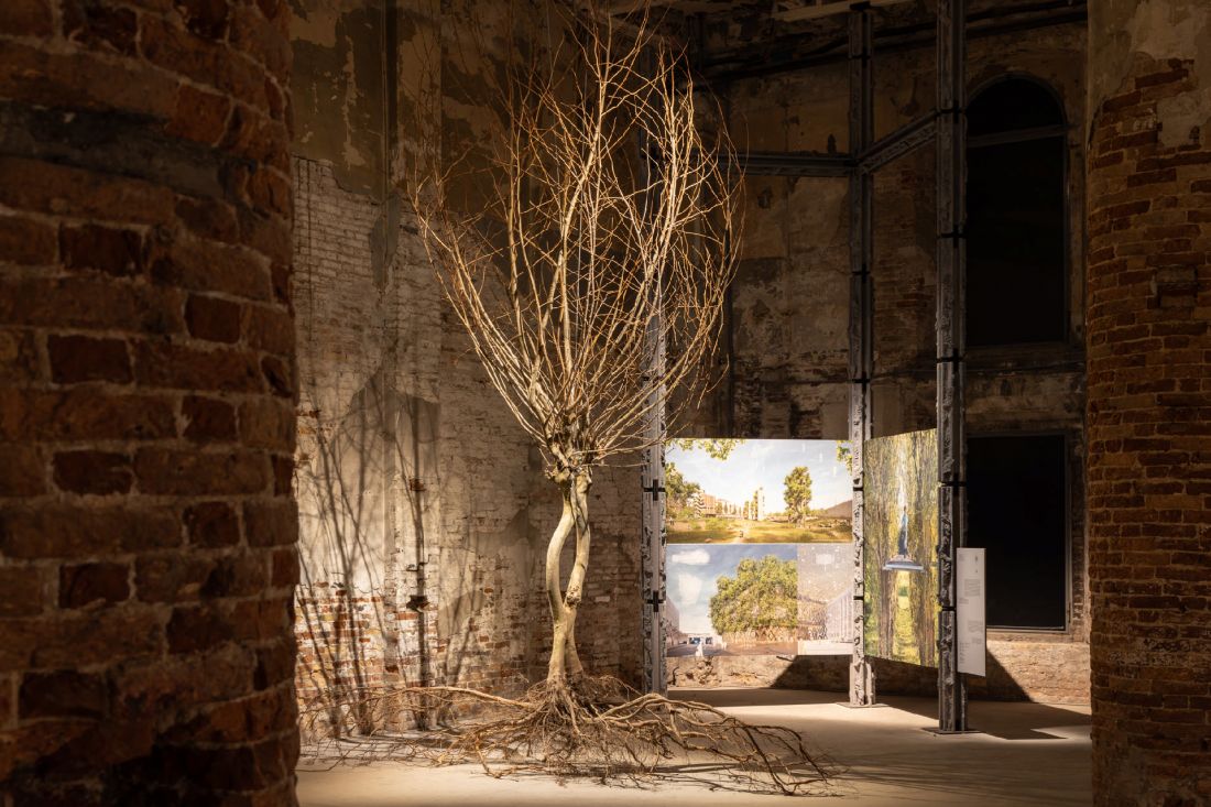 Architecture as Trees, Trees as Architecture (proj.: OLA Office for Living Architecture, Green Technologies in Landscape Architecture, Technical University of Munich)