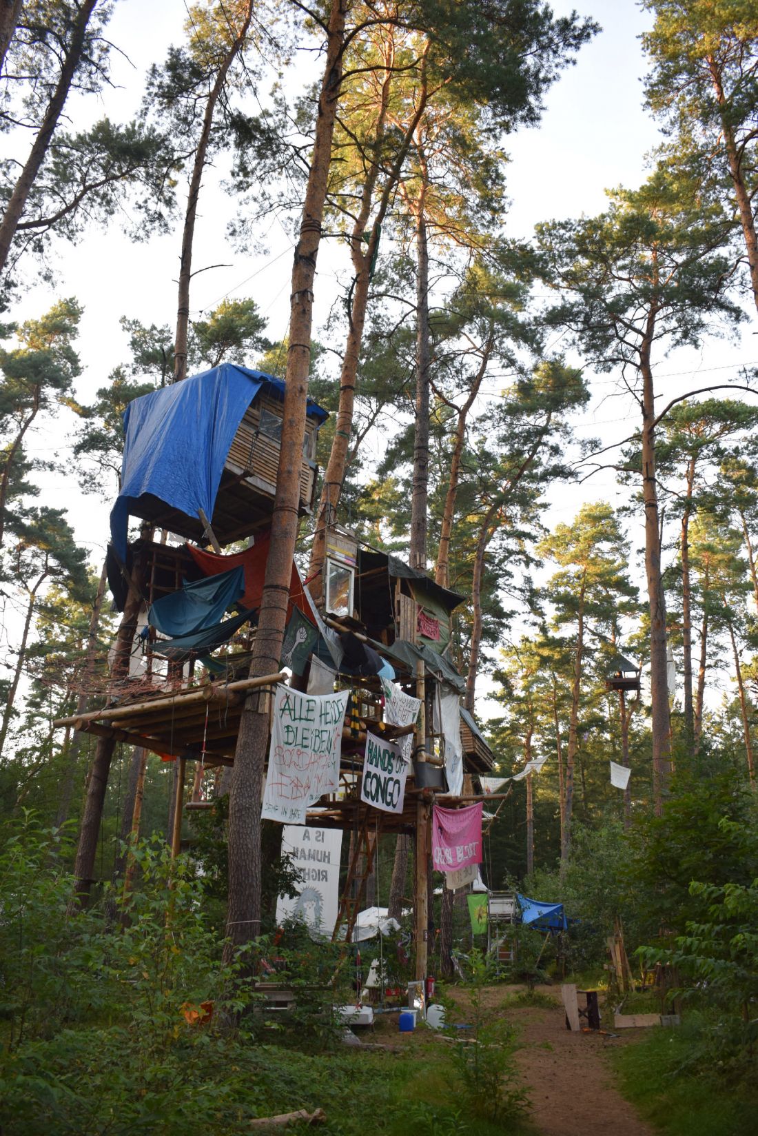 projekt „An Atlas of Forest Occupations” dotyczy leśnych okupacji jako przestrzeni oporu, troski i alternatywnej architektury
