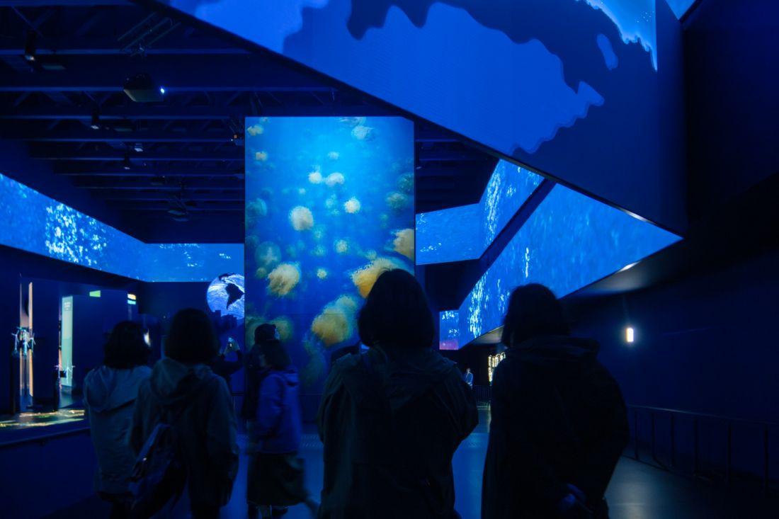 Pawilon Hiszpanii na Expo 2025 w Osace – wnętrze pawilonu 