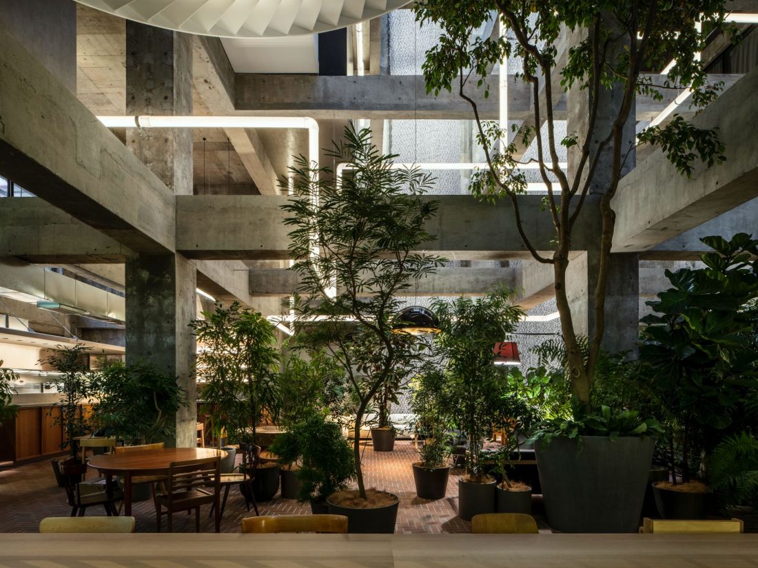Architekci usunęli niemal wszystkie ściany i stropy wewnętrzne, tworząc ogromne, wielopoziomowe atrium