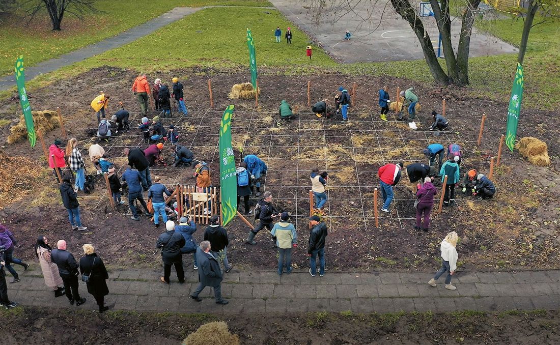 cieszyński mikrolas Niepodległości, 11 listopada 2023 roku