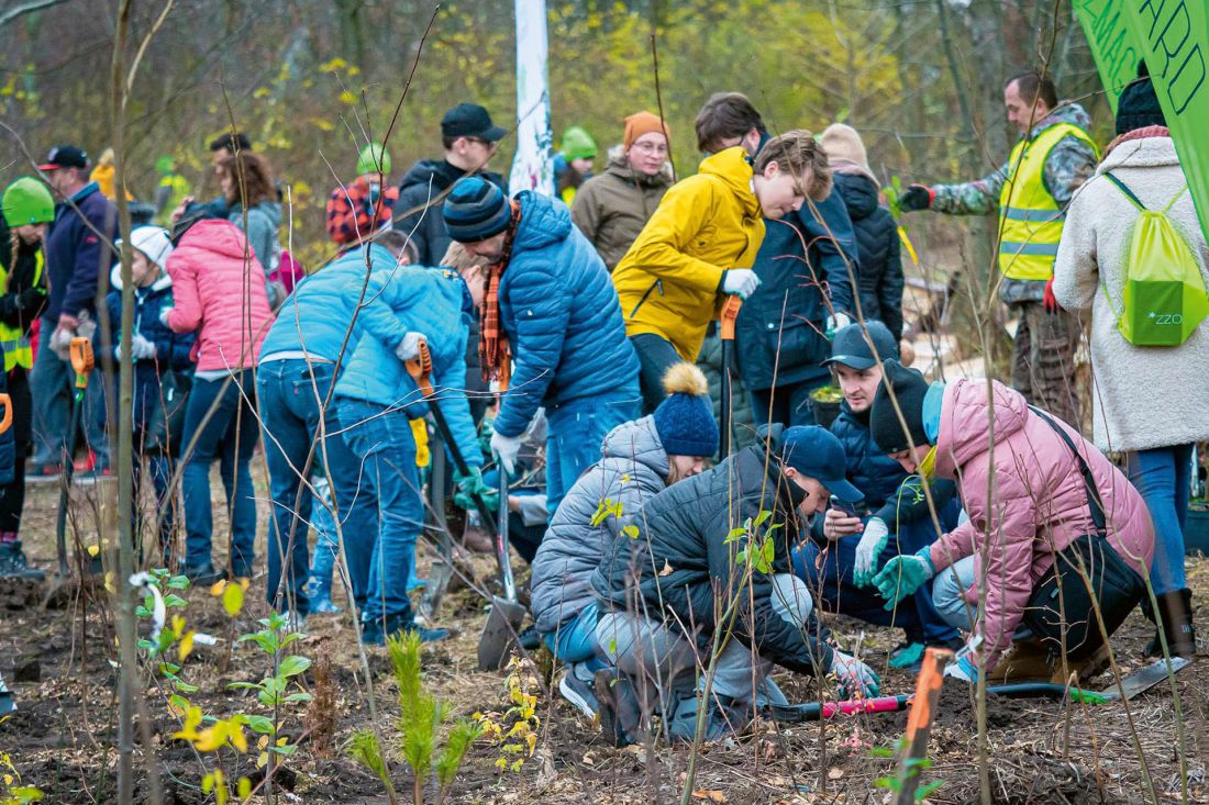 sadzenie mikrolasu pełni funkcję edukacyjną i integrującą lokalną społeczność